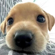 跟儿子走不迷路