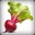 SoosMahBeet