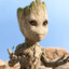 Groot