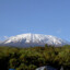 Kilimandzaras