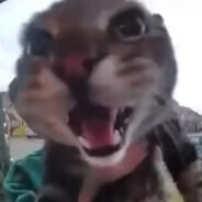 не воруй мой ник
