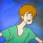 1% Shaggy