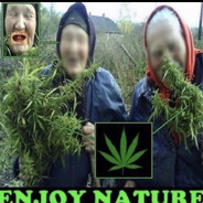 enjoy nature