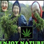 enjoy nature