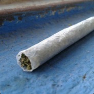 Ryan csgoatse.com csgowitch.com