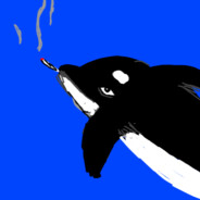 stoned orca