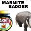 Marmite-Badger