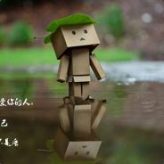 你 说柿子花吧