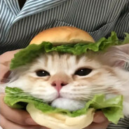 蓝胖子的白口袋