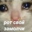 Нью скульный тип