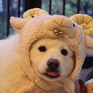 .♛ KSSSSSSSSSSSSSS`