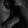 shadowDEMON