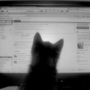 kajman - steam id 76561198823801426