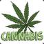 ♛Cannabis♛