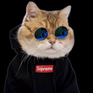 exec skriptas.cfg