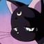 meow