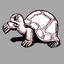 Tortoise Patrol