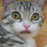 LittleBear 一路趴