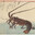 DaddyCrawfish4