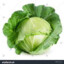 LeifTheVespid
