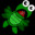 Turtles
