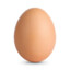 egg