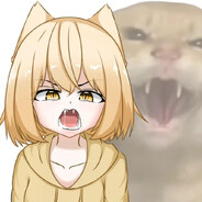 牌子猫