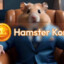 Пушистик Hamster