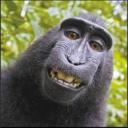 哥的❤️、禁止访问