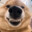 IKUN avatar