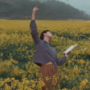 木雁