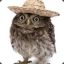 Lill Owl ♌ LHF ♌