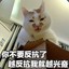 天胡乱子