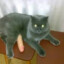 Cicafül