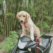 罗志成 廖传涛 白兰鑫