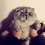 799181846