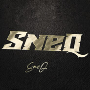 SneQ13