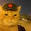 孟大猛