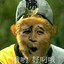 苟盖布朗·七史