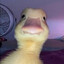 Duckthagod