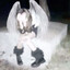 Emily Rose