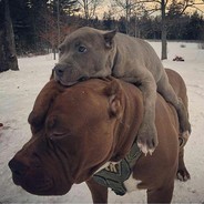 aspirateur - steam id 76561198363420396