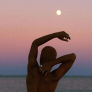 梦里花开牡丹亭