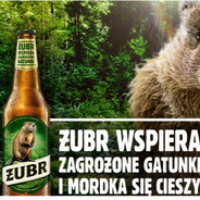 rzubr