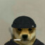 𝔹𝕖𝕒𝕤𝕥 ツ
