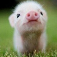 少儿二级棋士小琦琦