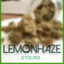 -LemonZisLamaCrima#