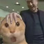 鱼鱼鱼鱼鱼鱼鱼