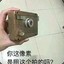 狗秀口味王