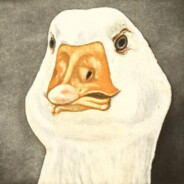 ZerGoose